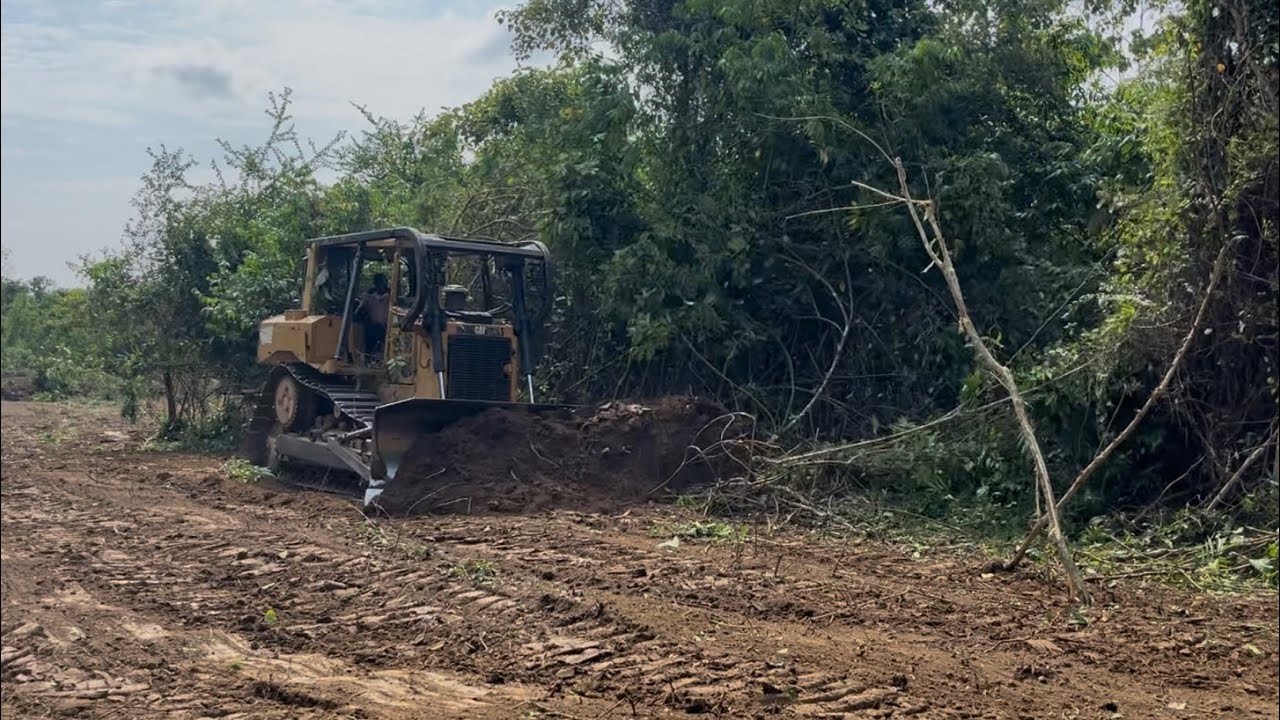 Caterpillar's D6R XL Dozer Perfectly Opens Forest Roads to Access American Farms