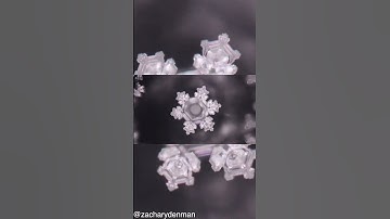 Dokter Masaru Emoto bewees hoe muziek water beïnvloedt en hoe vaak ons ​​lichaam uit water bestaat