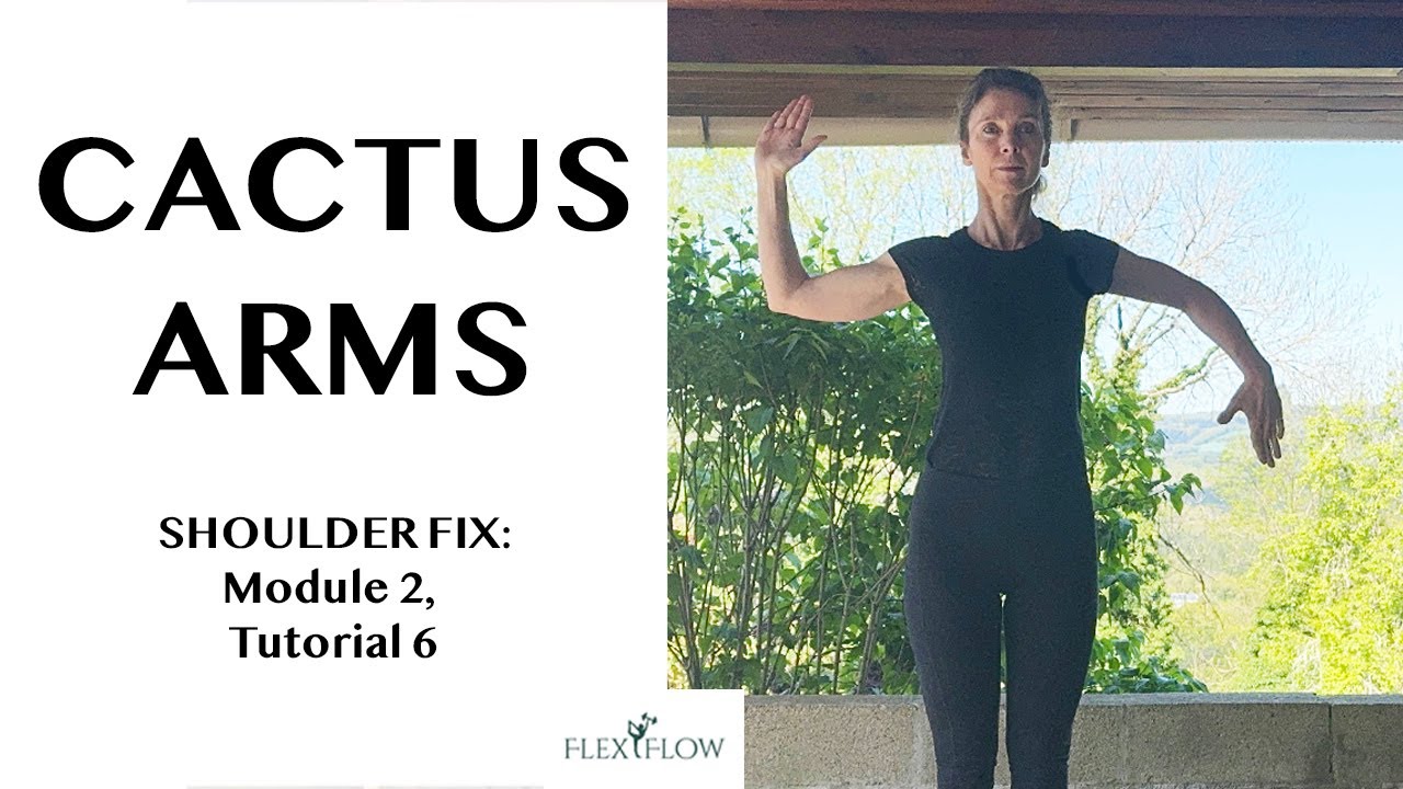 Try Dynamic Cactus Arms to Improve Shoulder Stability