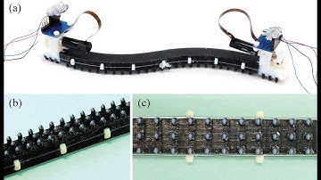 A Printable Soft-bodied Wriggle Robot with Frictional 2D-Anisotropy Surface