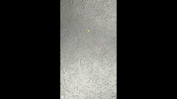 THRILL PILL - Простить Себя [Snippet]