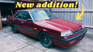 I bought the cheapest and cleanest R31 skyline I could find!