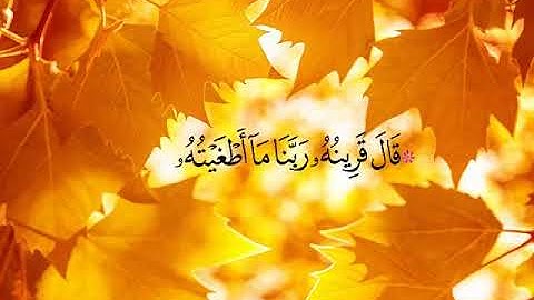 وليد ابراهيم  سورة ق والطارق والاعلى (جودة عالية)