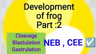 Development of Frog Part 2 // Class 12 // Zoology