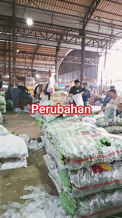 all expensive #shortsvideo