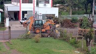 Loading trucks with bushes