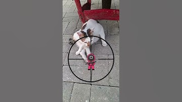 perfect again😏#squidgamchallenge #filtertiktok #games