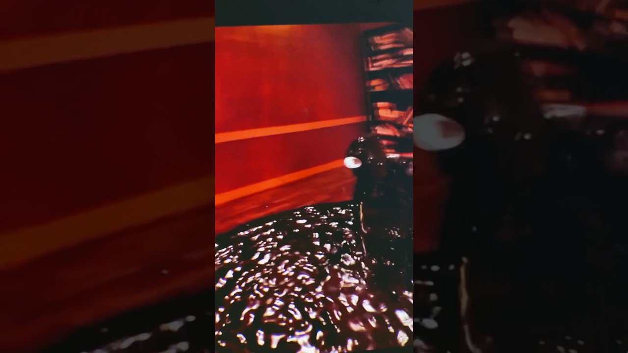 Doors seek chase by Shiloh & bros! YouTube