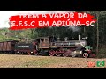 Trem a Vapor da extinta E.F.S.C chegando na Usina Hidrelétrica em Apiúna - SC