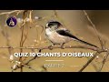 Quiz 10 Chants d’oiseaux | Partie 2