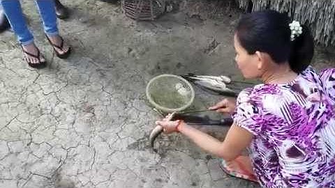 Cá lóc nướng rơm - Đặc sản rừng U Minh - Miền tây