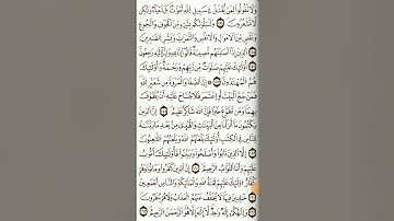 تلقين أيات من سورة البقرة الآية 154-155-156-157/ علي الجزائري