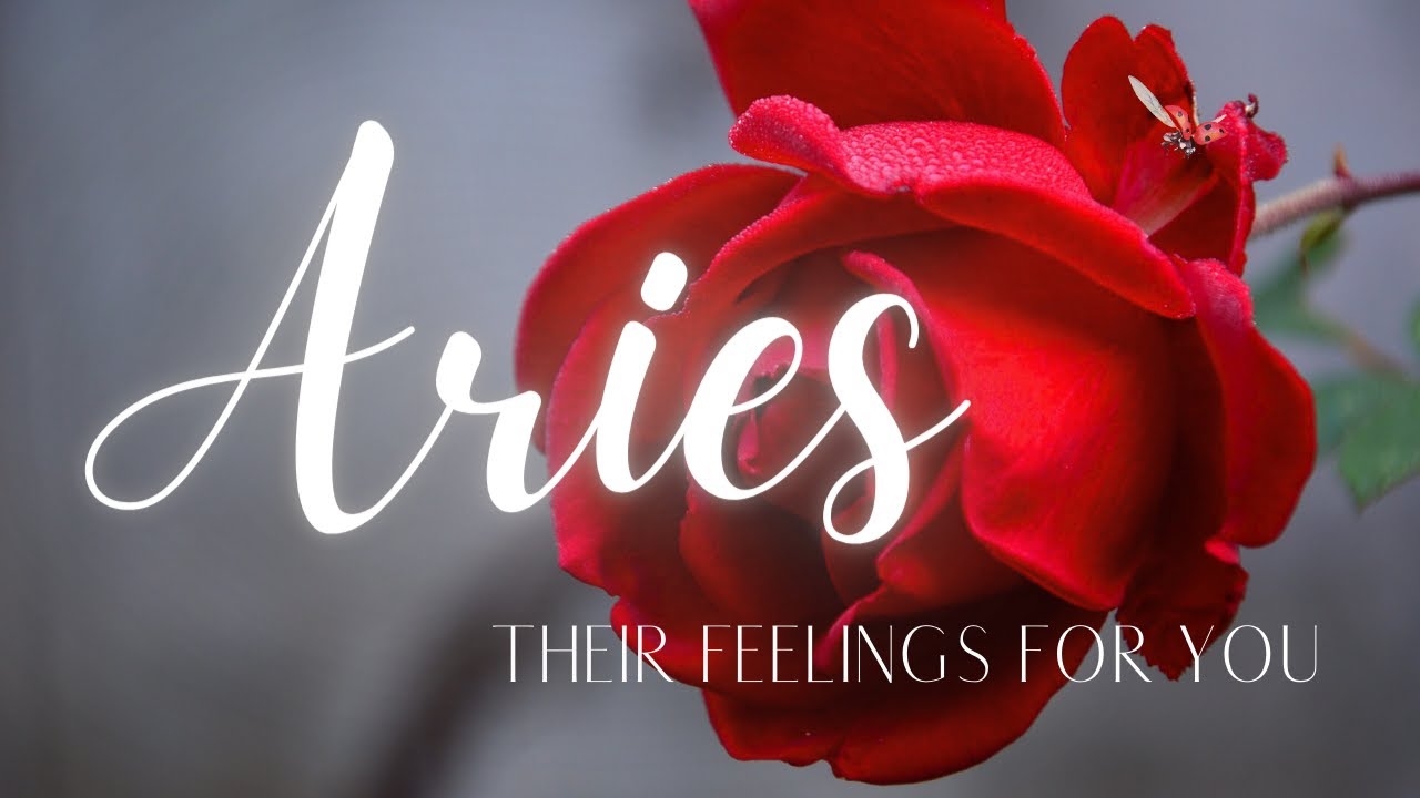 ARIES LOVE TAROT TODAY - ARIES!! THEY REALLY WANT TO END THIS SEPARATION!!