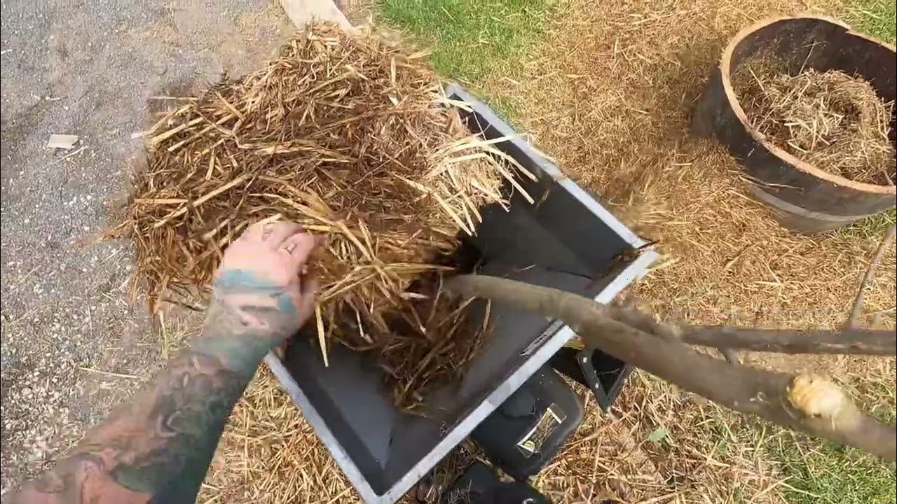 Straw mulch, but with a difference! How I turned my thick straw into sugar cane consistency. 💚🪴🌱