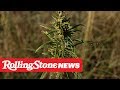 New Study Finds CBD Could Curb Heroin Addiction | RS News 5/23/19