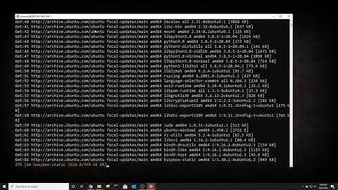 How to Update Ubuntu 20.04 LTS (WSL2)