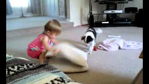 Baby and doggie