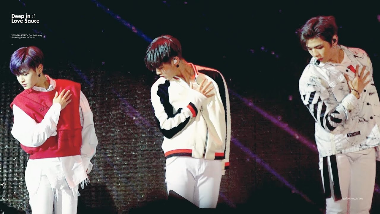 171223 워너원 팬콘 부산 - Never Focus.배진영 Bae Jinyoung