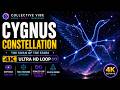 CYGNUS CONSTELLATION 🦢 | 4K ULTRA HD SPACE LOOP 🔁 | The Cosmic Swan 🌌