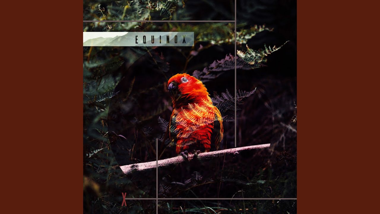 Watch Circular Motion on YouTube Watch Circular Motion on YouTube