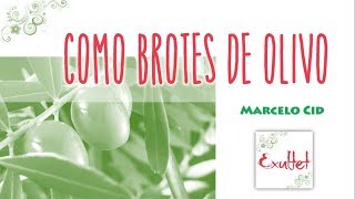 Video thumbnail of "COMO BROTES DE OLIVO (SALMO 127) - MARCELO CID"