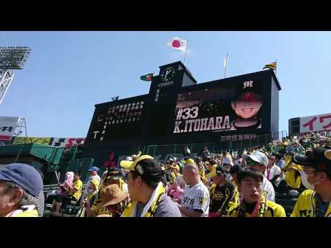 阪神対広島  2017年4月16日 両軍スタメン