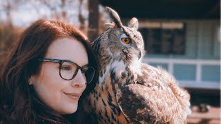 FLYING ONE OF THE LARGEST OWLS IN THE WORLD