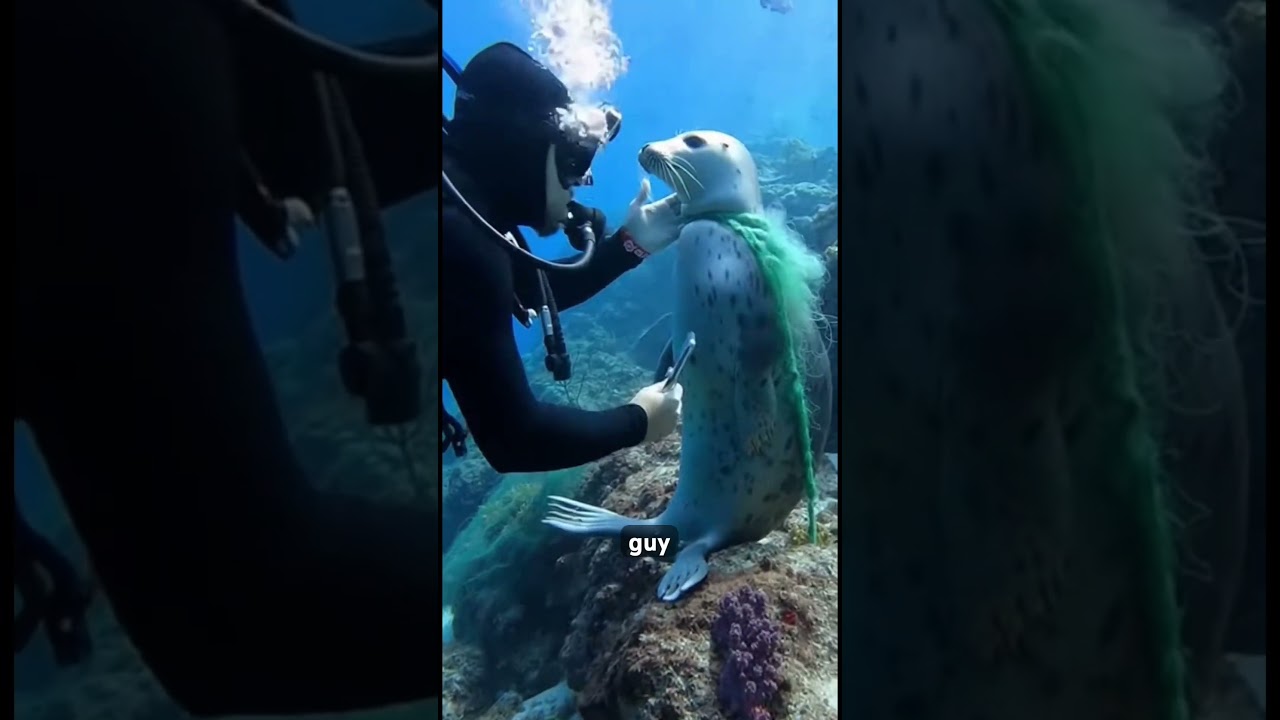 A Diver’s Courage: Saving a Life in the Deep. 