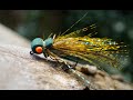 Tying a Olive Cicada Fly by Davie McPhail