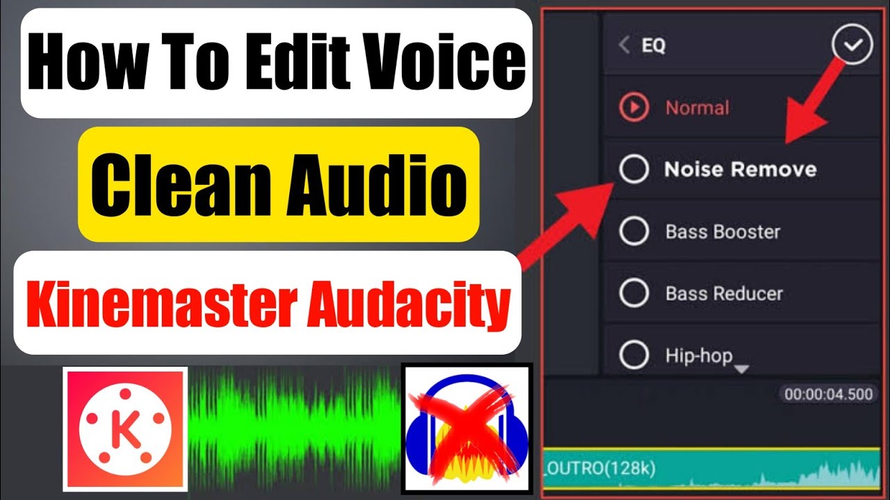 kinemaster se video ka background noise Kaise hataye how to remove