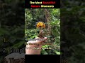 The wonders in nature | Day 1 #nature #beauty #beautiful #popular #trending #cute #satisfying #cool