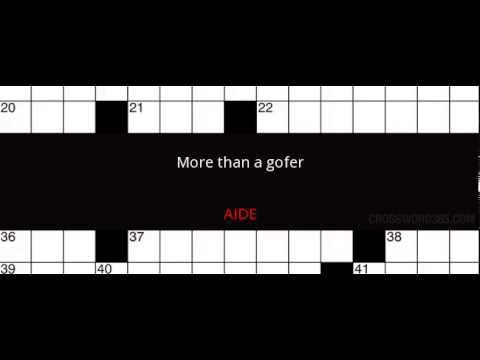 More Than A Gofer Crossword Clue Solution