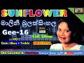 Malini Bulathsinhala with Sunflower Full Album  | Original Full Album improved HQ Audio