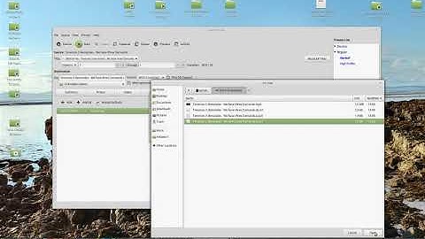 How to embed subtitles using HANDBRAKE (on linux )