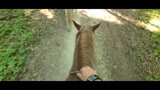 First Horse Ride of the Summer