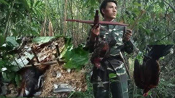 yos hav zoov cuab qaib qus