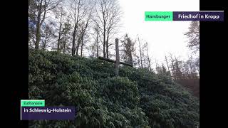 Hamburger Friedhof In Kropp Ss Euthanasie