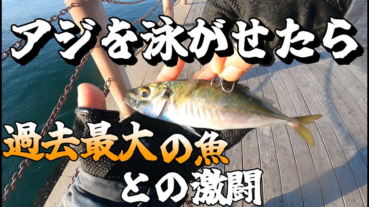 【泳がせ釣り】アジを泳がせたら過去最大の魚が喰ってきた！規格外の魚との激闘！