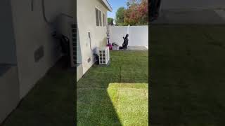 Video 12 Of Adu Build In Riverside - Jr Adu All Complete