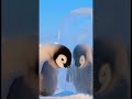 Baby Penguin funny act with his Shadow #Pengiun