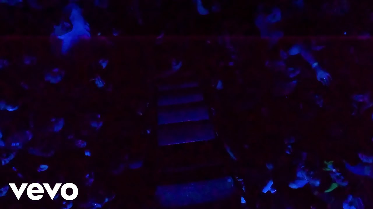 Lorde - Favourite Daughter (Visualiser)