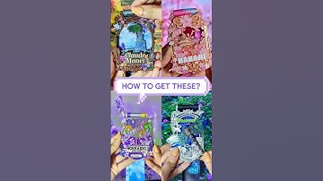 Pacer Virtual Adventure