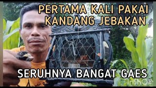 PETAMA KALI PASANG JEBAKAN PUYUH PAKAI KANDANG PUYUH PIKAT