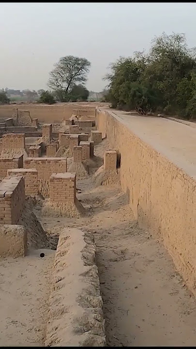 ancient harappa civilization #indus civilization  #harappa #harappaculture  #pakistan #yazdantv