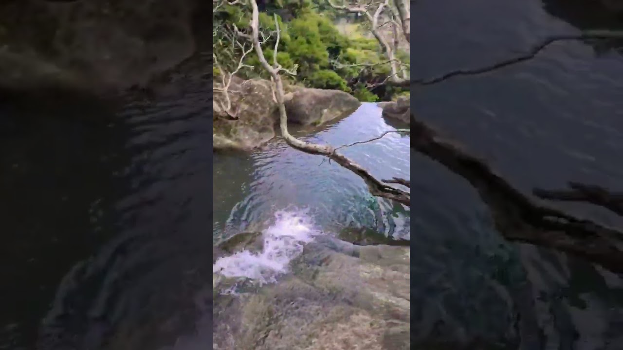 Paradise in New Zealand 