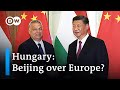 Why is Hungary taking sides with China rather than with the EU and NATO? | DW News