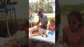 Processing Some Of Our Chickens For Meat.