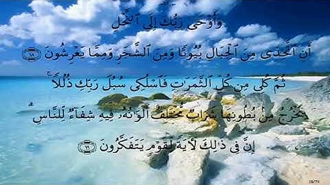 آية العسل في سورة النحل
