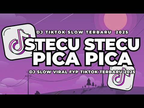 DJ STECU STECU X DJ NONA AMBON PICA PICA VIRAL TIKTOK TERBARU 2025