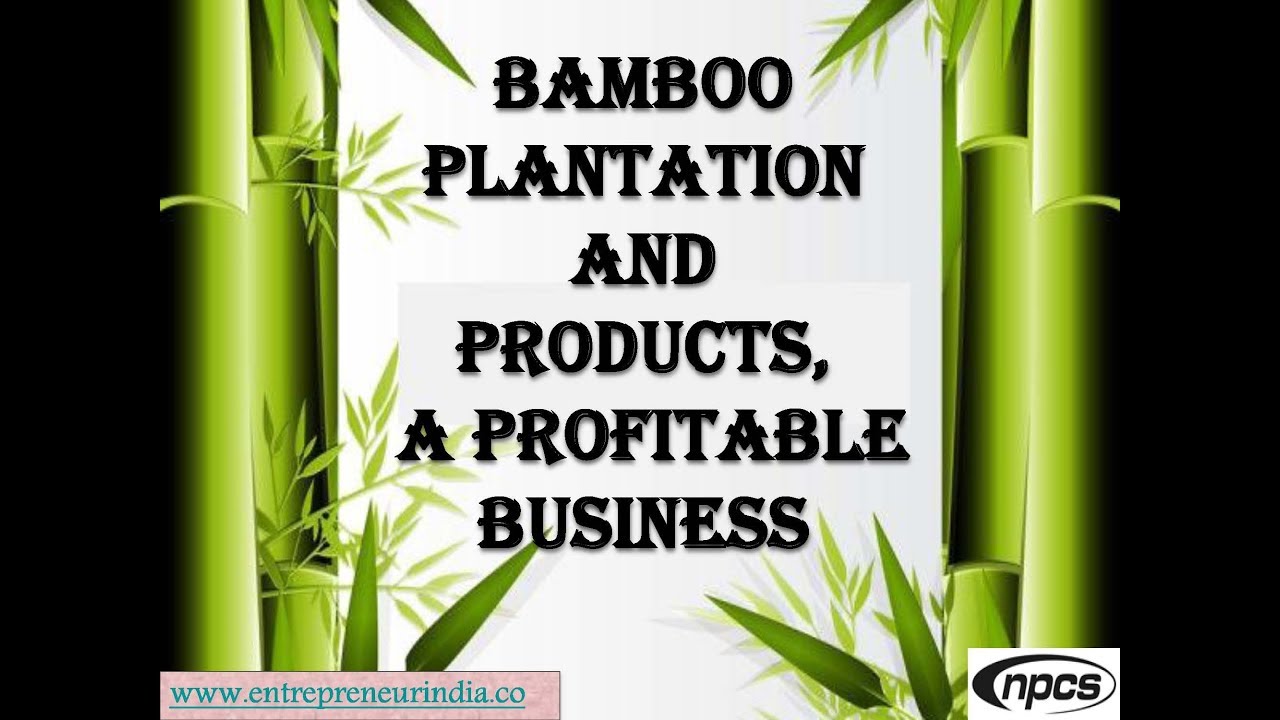 business plan bamboo products